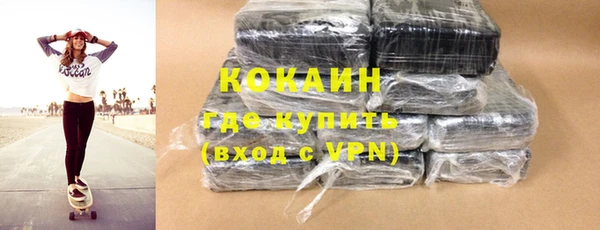 шишки Корсаков