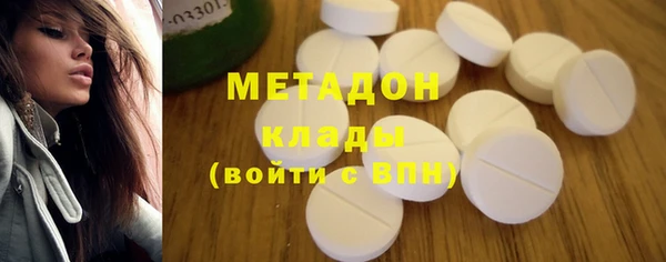 шишки Корсаков