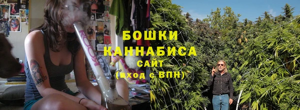 шишки Корсаков
