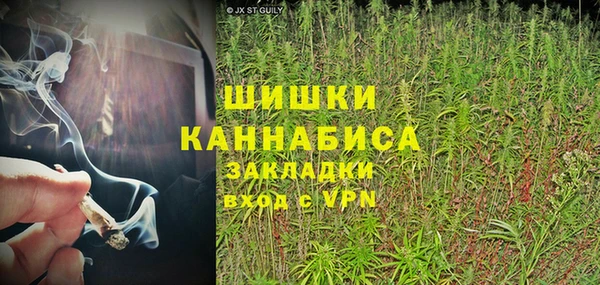 шишки Корсаков