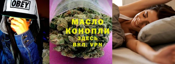 шишки Корсаков