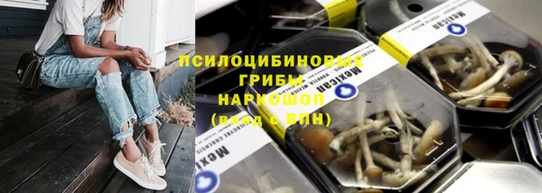 шишки Корсаков