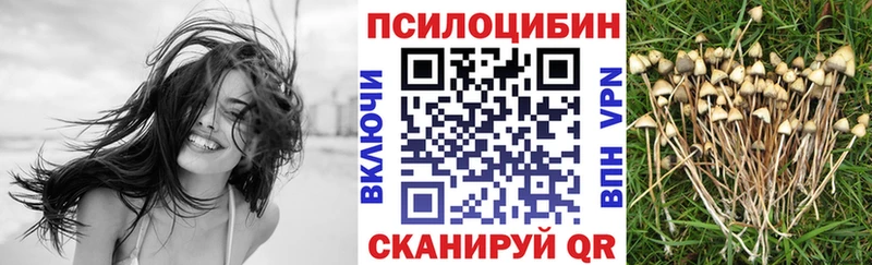 Псилоцибиновые грибы мухоморы  Купить закладки  Новая Ладога 