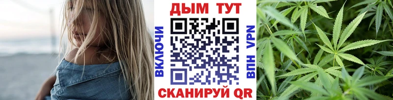 Купить закладки Новая Ладога Бошки марихуана ГИДРОПОН